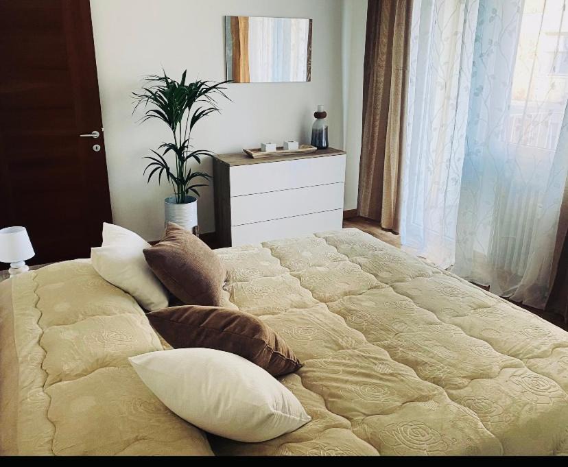 Photo of Bedroom in Cittadella