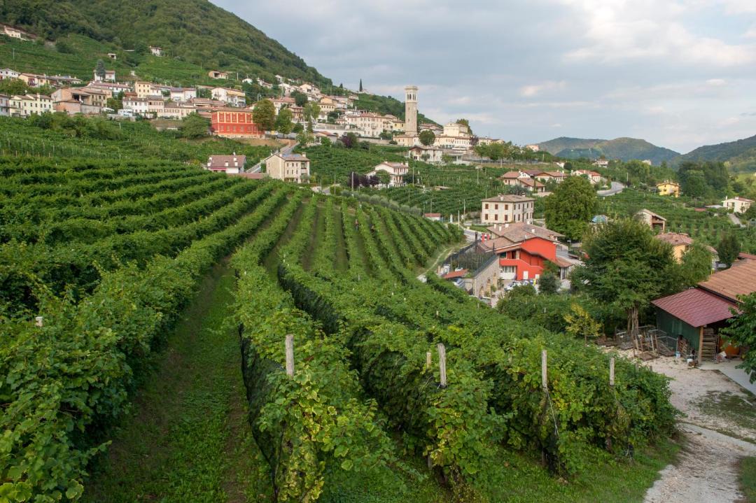 Photo of Others in Valdobbiadene