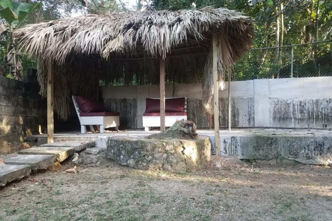 Photo of Buildings in Montego Bay