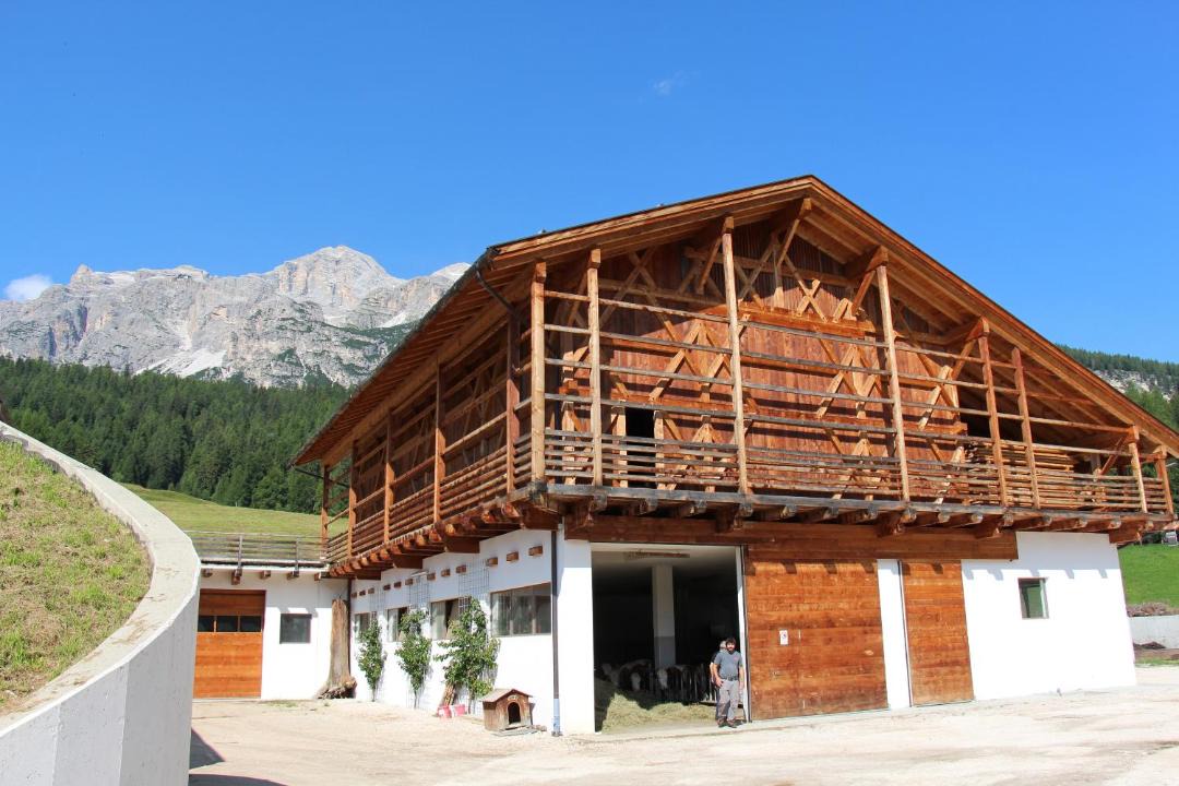 Photo of Others in Cortina d'Ampezzo