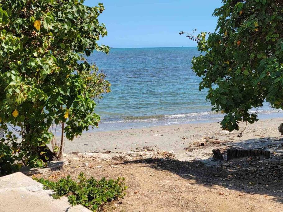 Photo of Outdoor in Portmore