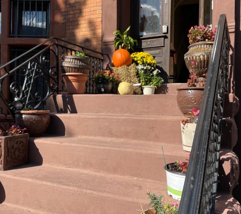 Photo of Others in Bedford-Stuyvesant