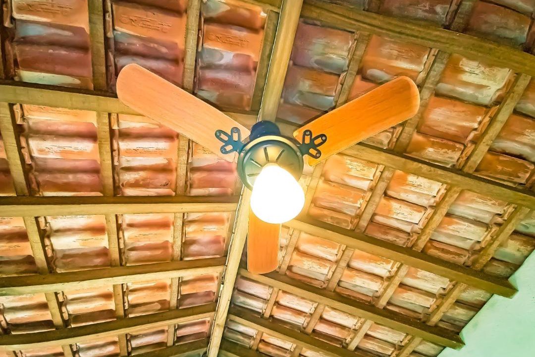 Photo of Others in Paraty