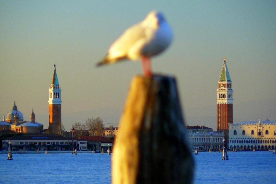 Photo of Others in Santa Maria in Stelle