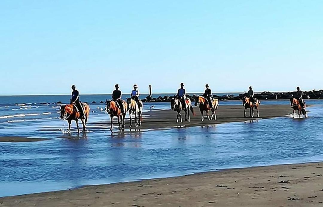 Photo of Others in Porto Tolle