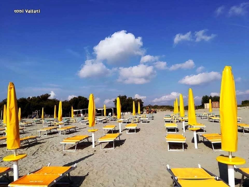 Photo of Others in Porto Tolle