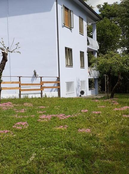 Photo of Buildings in Crespano del Grappa