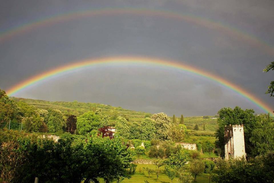 Photo of Others in Marcellise