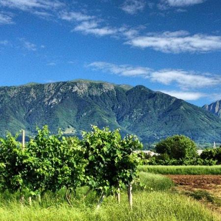 Photo of Outdoor in Crespano del Grappa