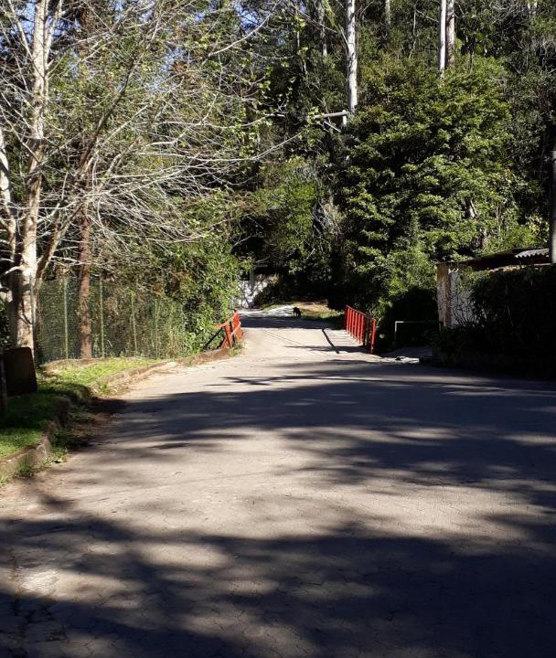 Photo of Others in Fazenda Inglesa