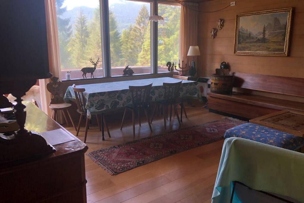 Photo of Others in Borca di Cadore