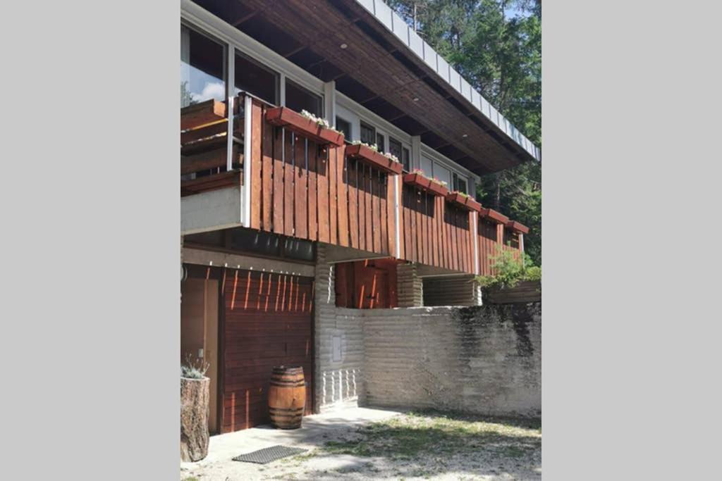 Photo of Others in Borca di Cadore