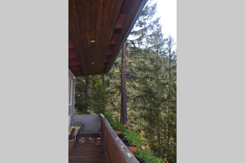 Photo of Patio Balcony in Borca di Cadore