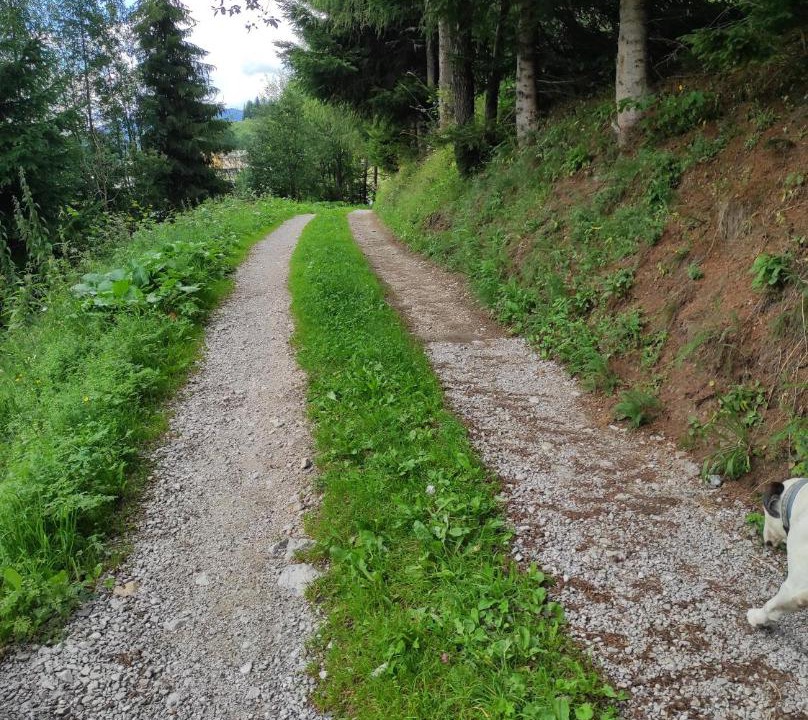 Photo of Others in Santo Stefano di Cadore