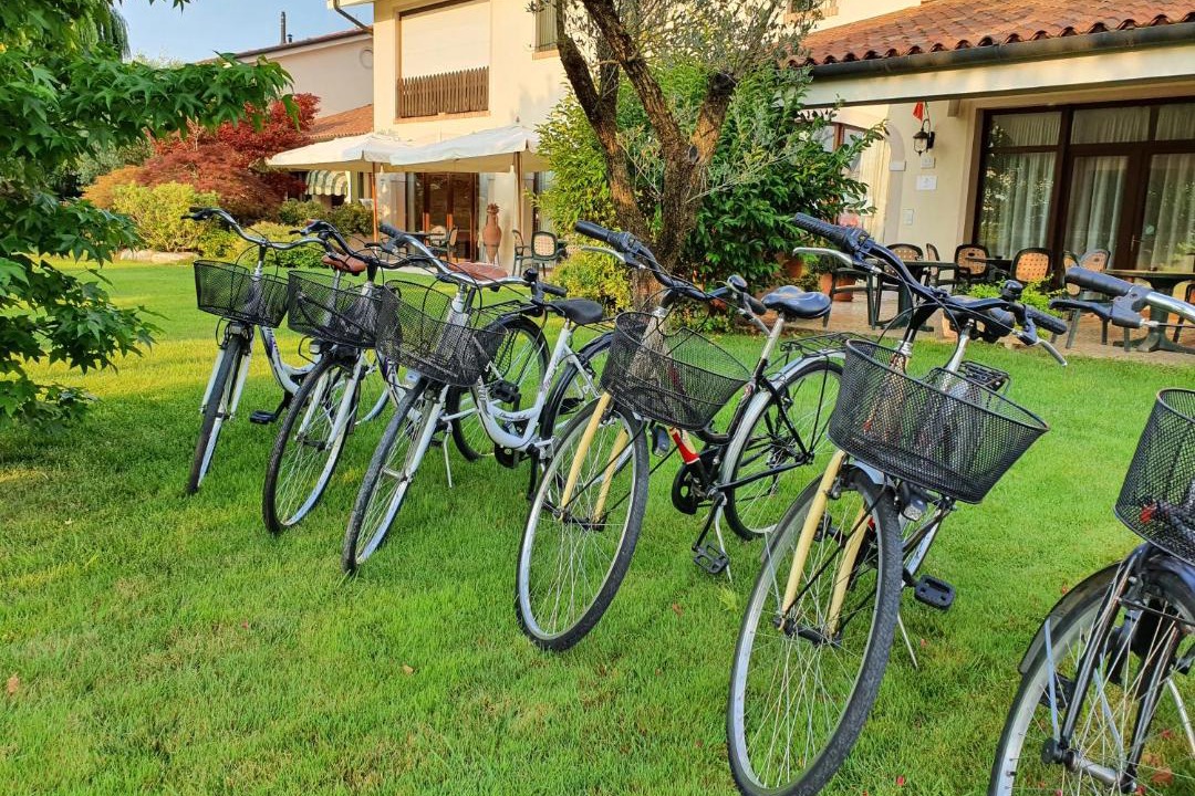 Photo of Others in Treviso