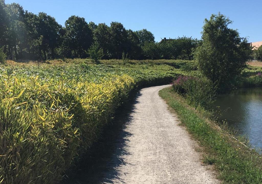 Photo of Outdoor in Magny-le-Hongre