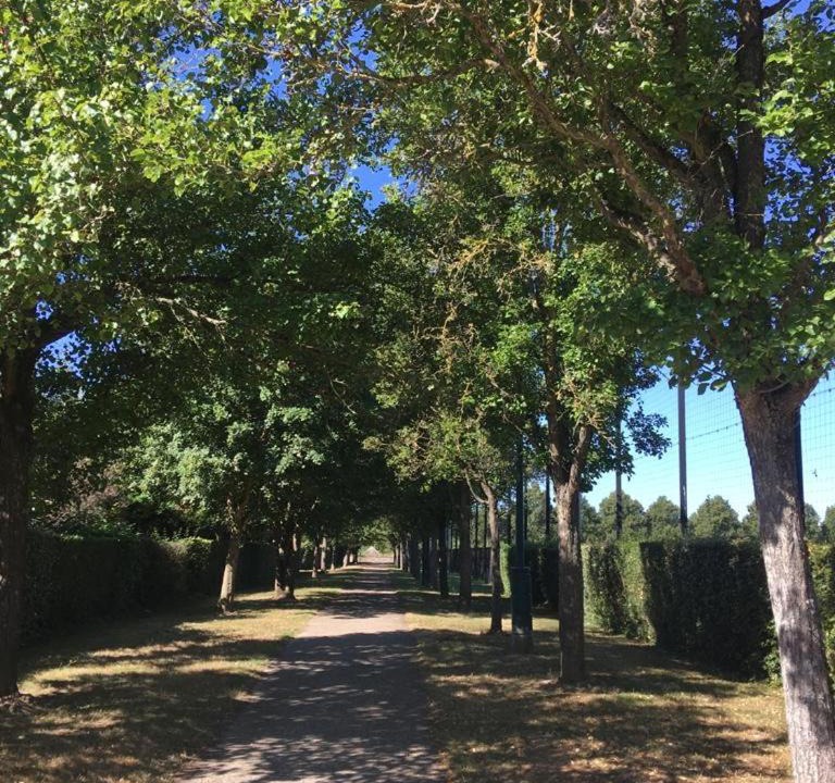 Photo of Others in Magny-le-Hongre