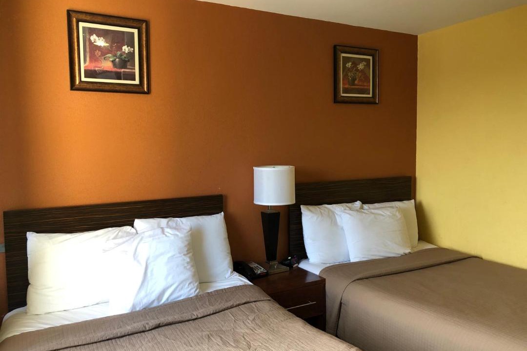 Photo of Bedroom in Brooklyn