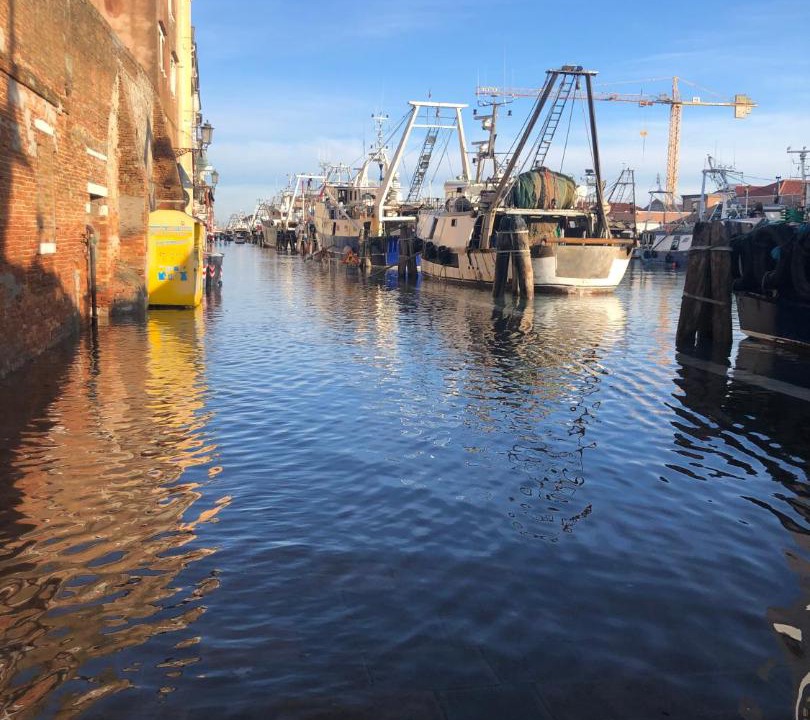 Photo of Others in Chioggia