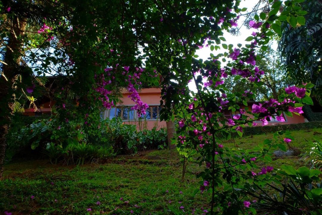 Photo of Others in Fazenda Inglesa