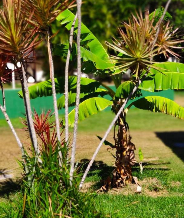 Photo of Outdoor in Downtown Buzios
