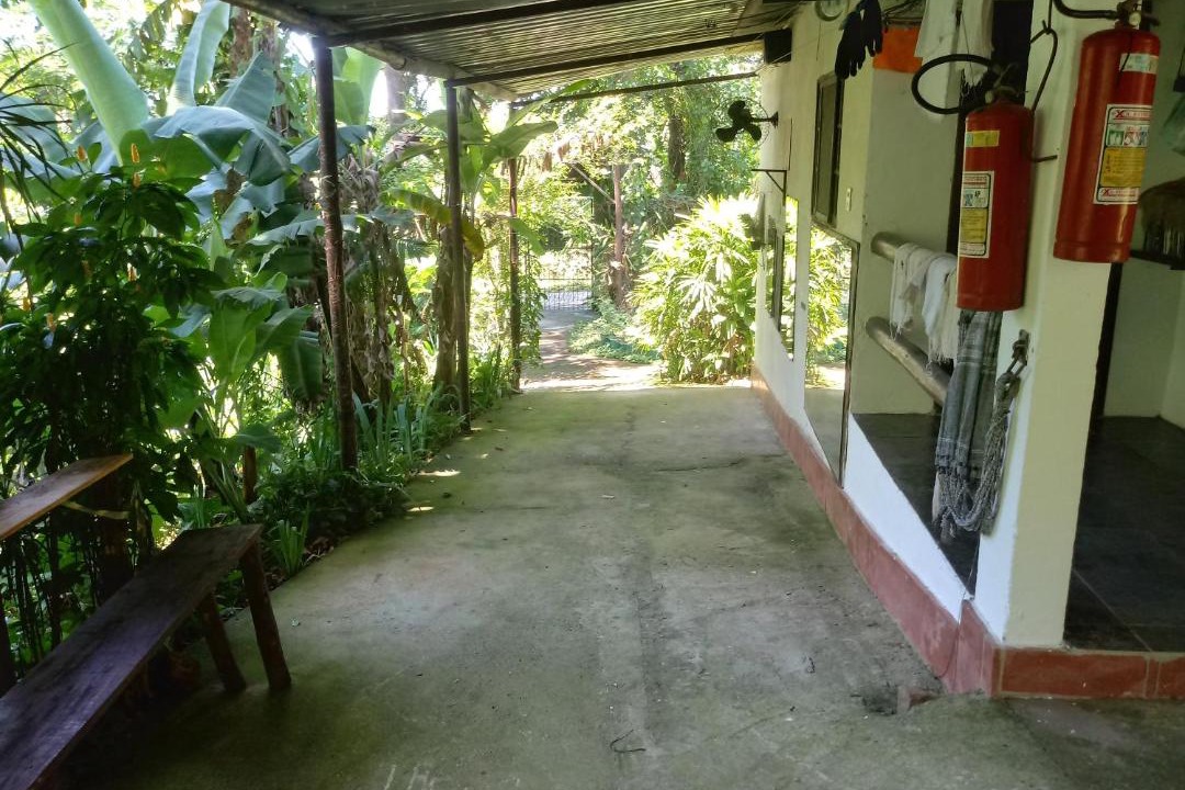 Photo of Others in Jacarepagua