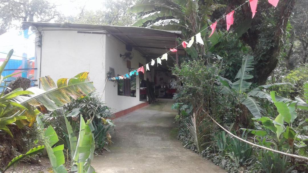 Photo of Others in Jacarepagua