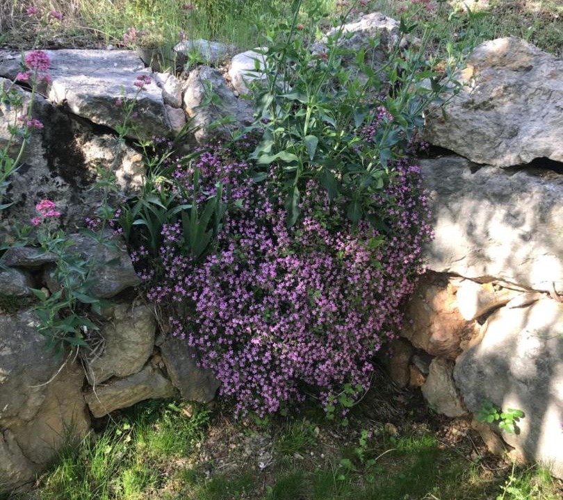 Photo of Outdoor in Rivoli Veronese
