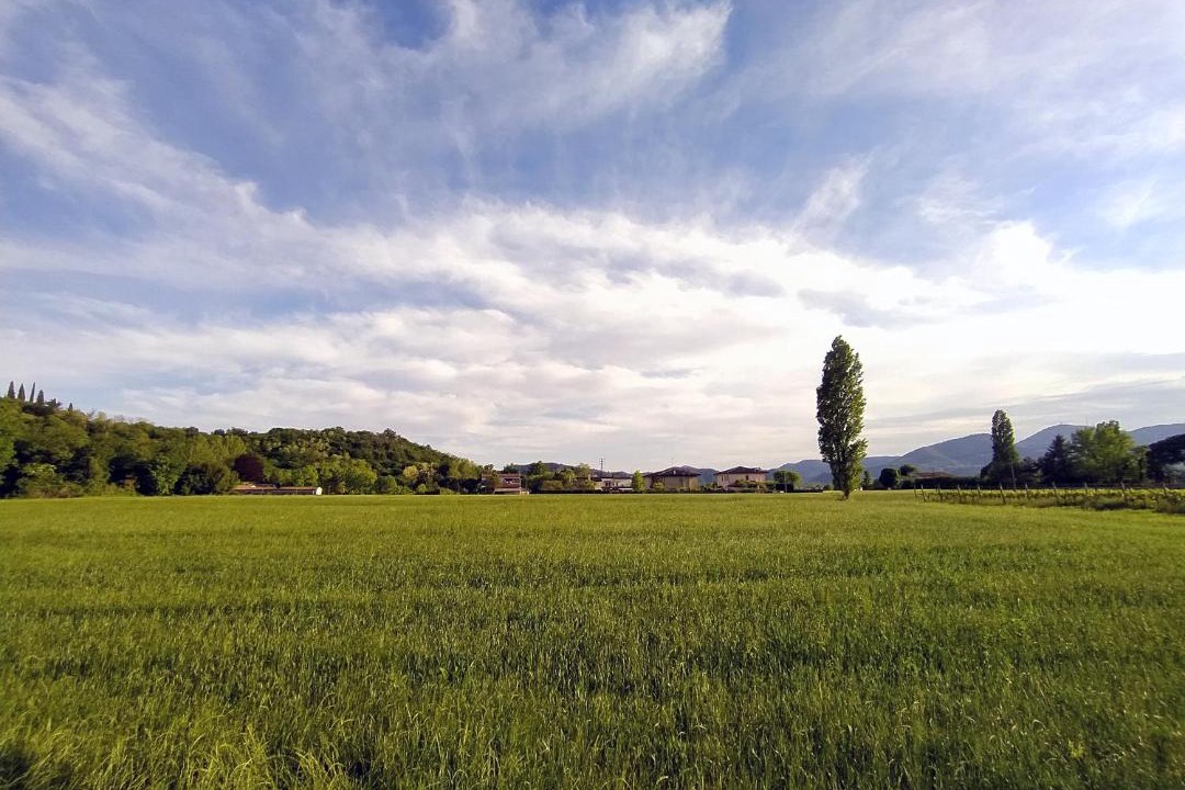 Photo of Others in Teolo