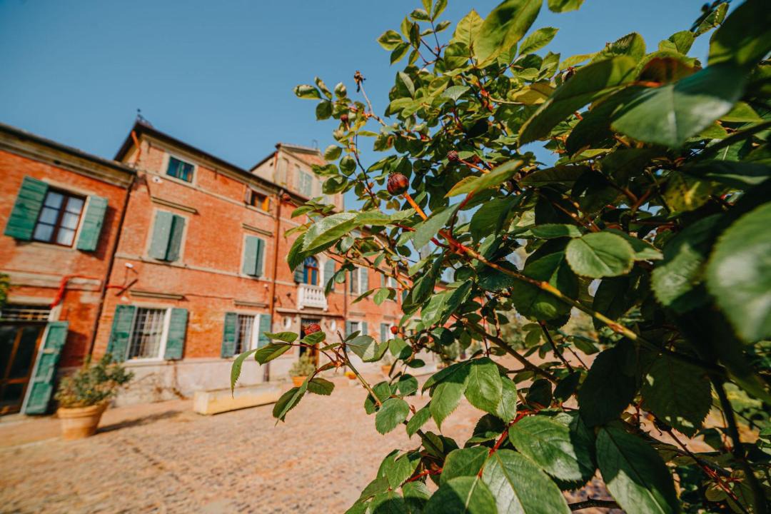 Photo of Others in Taglio di Po