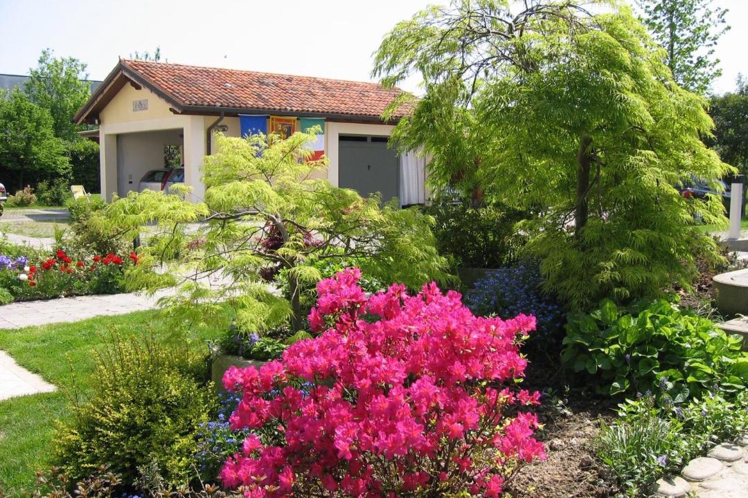 Photo of Buildings in Mirano
