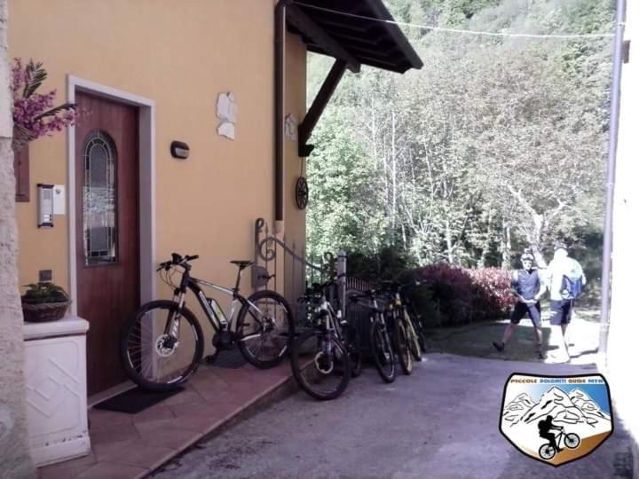 Photo of Others in Valli del Pasubio