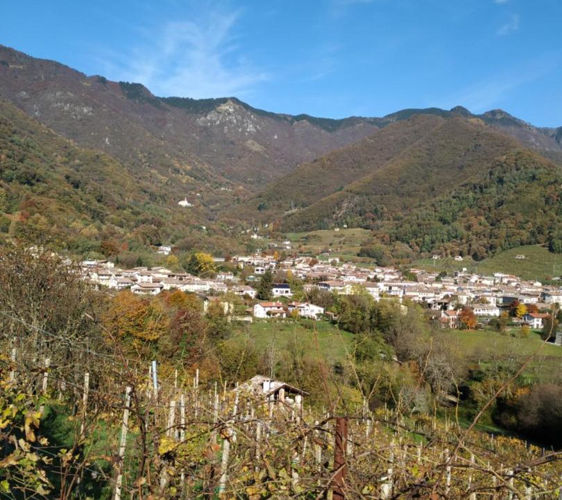 Photo of Others in Miane