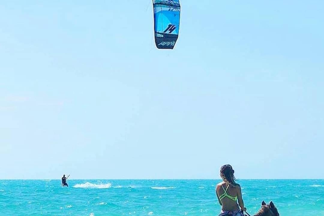 Photo of Human In Picture in Long Bay