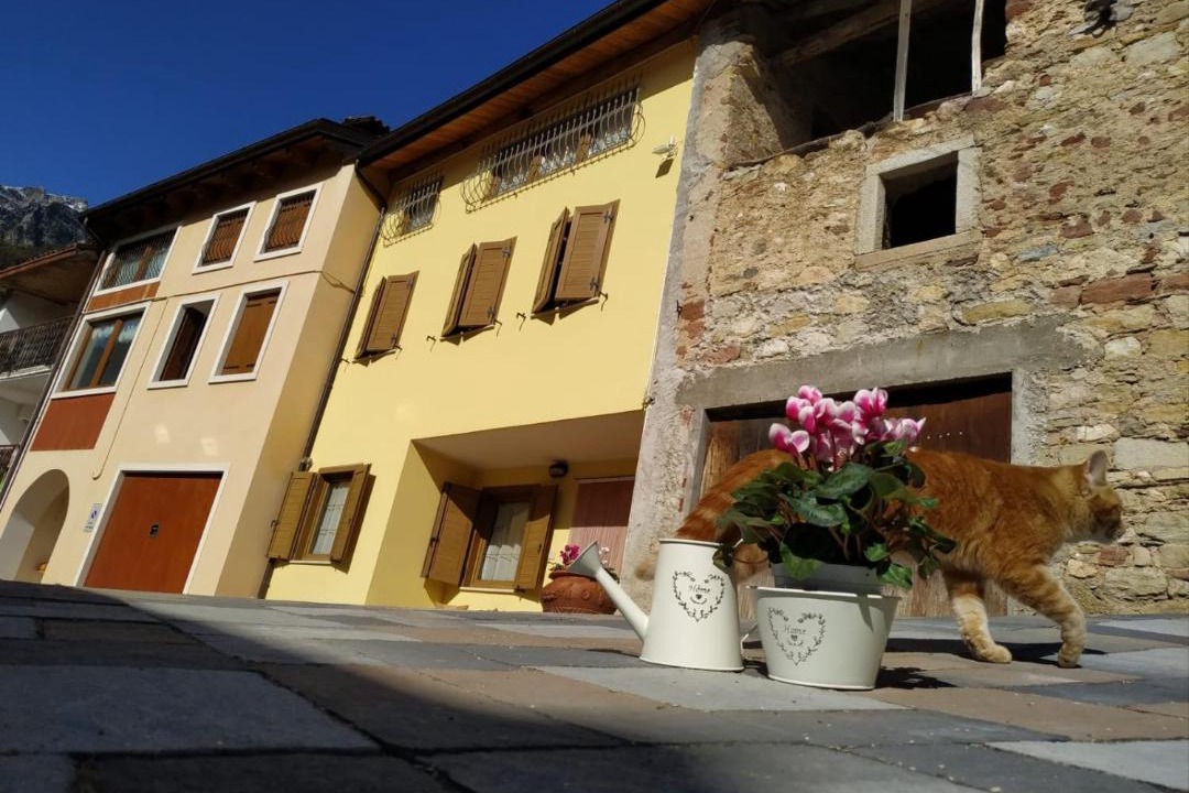 Photo of Others in Recoaro Terme