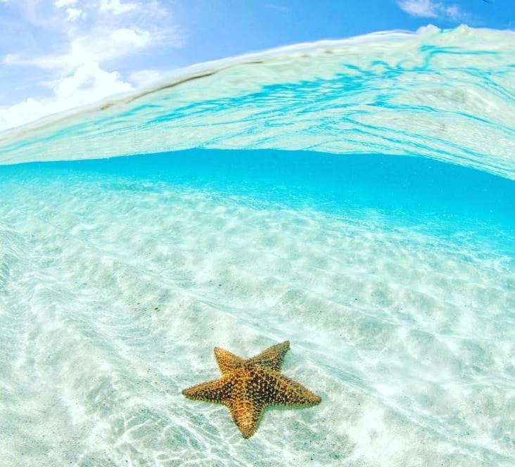 Photo of Outdoor in Long Bay