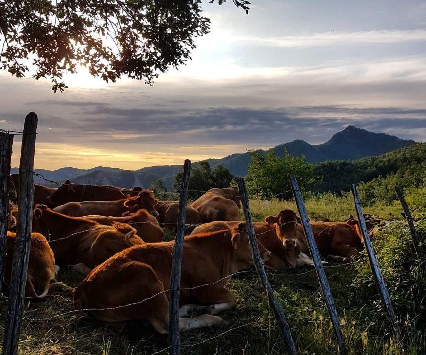 Photo of Others in Corrubbio di Negarine