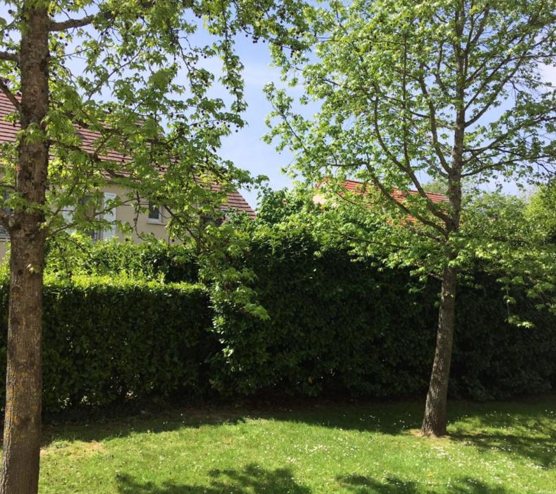 Photo of Outdoor in Magny-le-Hongre
