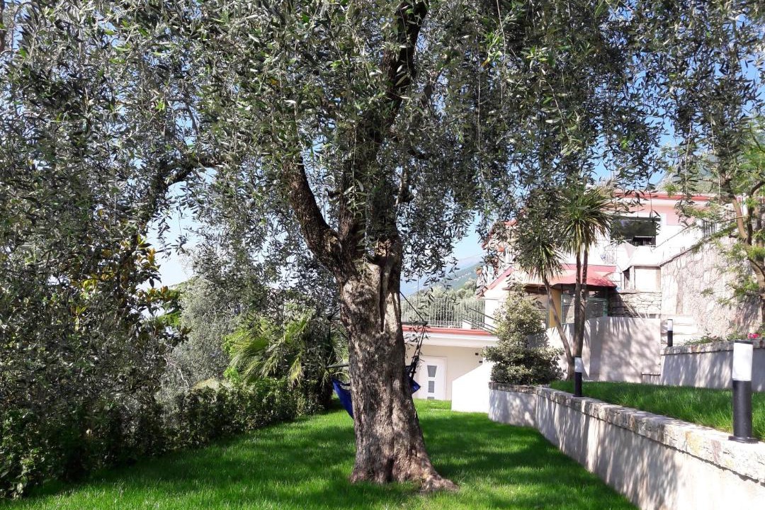Photo of Others in Castelletto