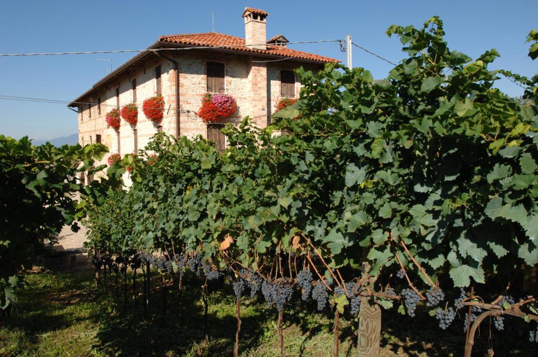 Photo of Buildings in Susegana