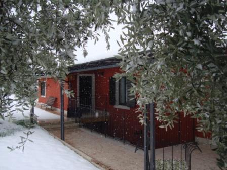 Photo of Buildings in Piovezzano