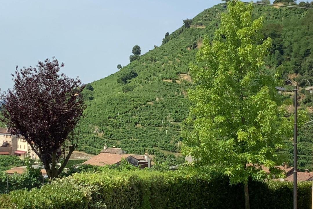 Photo of Others in Valdobbiadene