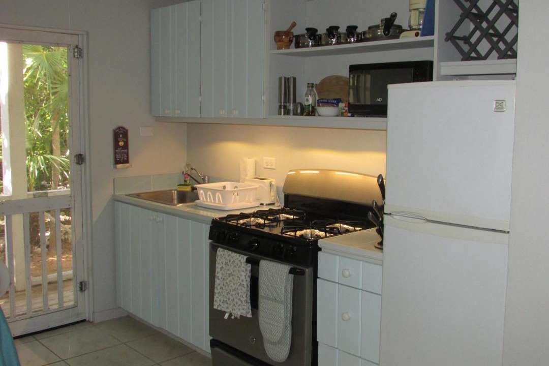 Photo of Kitchen in George Town