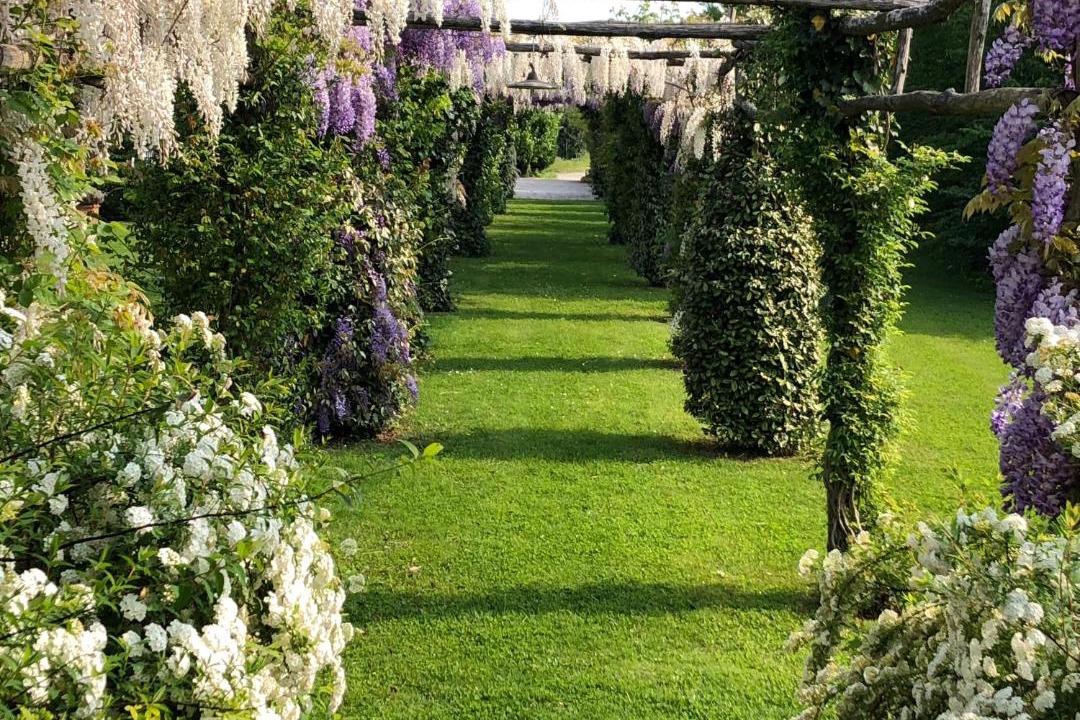 Photo of Outdoor in Tessera