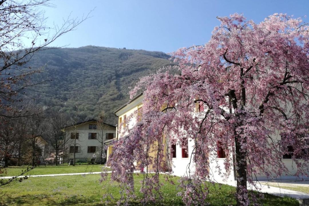 Photo of Others in Follina