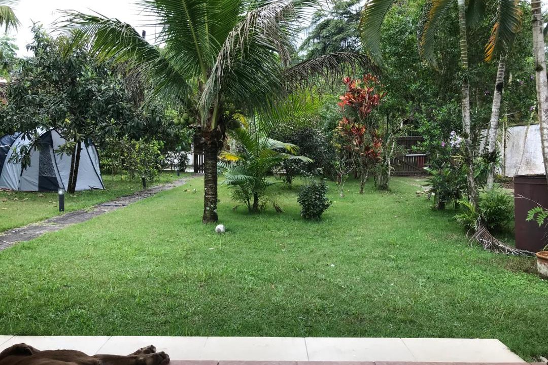 Photo of Others in Paraty
