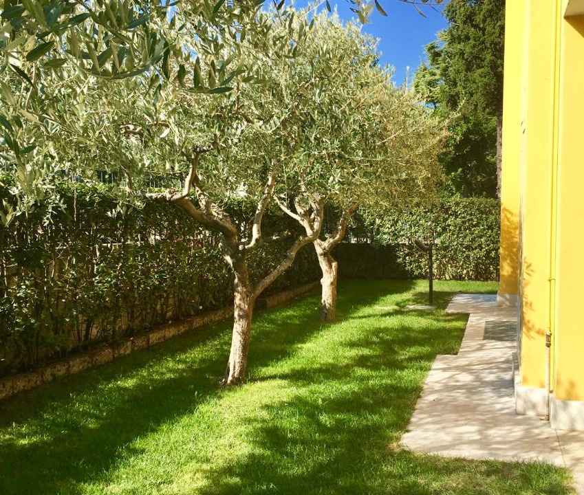 Photo of Others in San Benedetto di Lugana