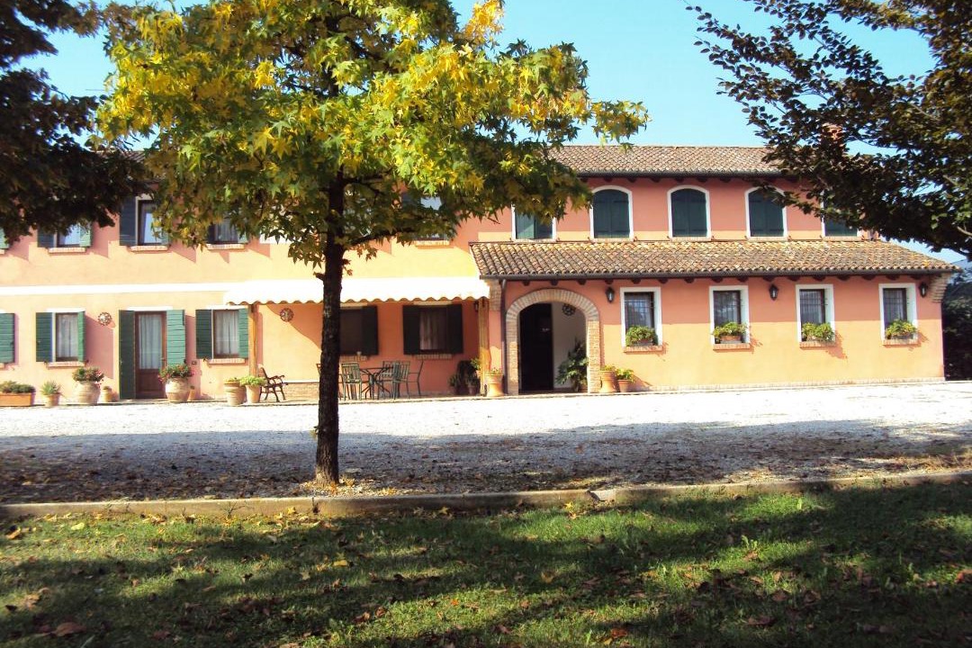 Photo of Others in Treviso