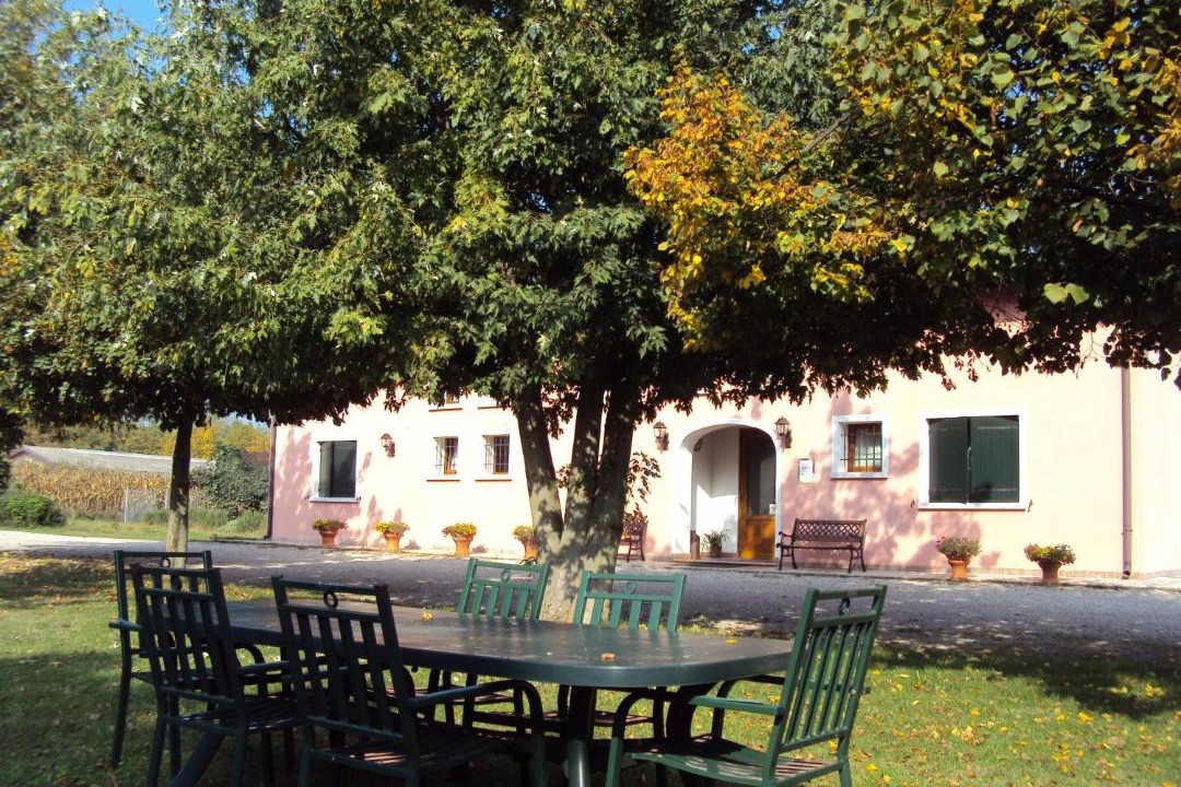 Photo of Others in Treviso