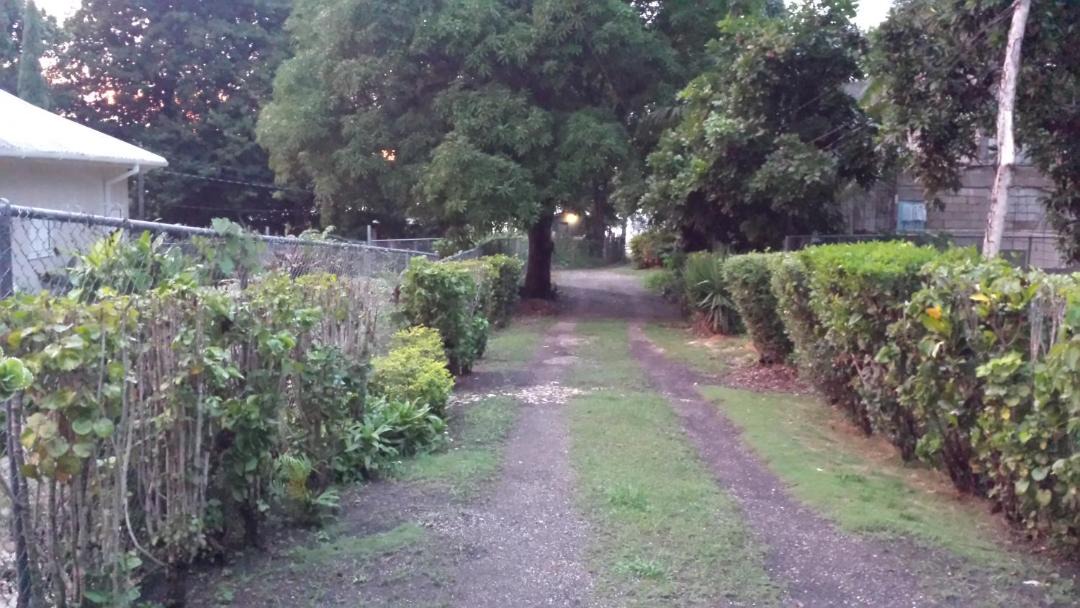 Photo of Others in Belmont